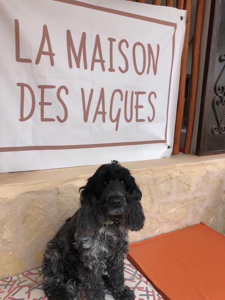 סידי קאוקי La Maison Des Vagues מראה חיצוני תמונה